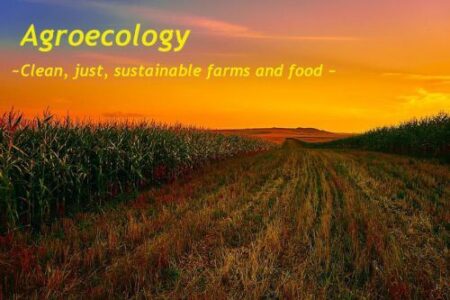 Sleepwalking into Certain Catastrophe, or Awakening via Agroecology Image